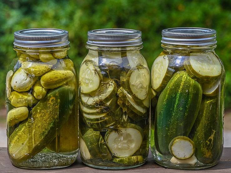 Homemade dill pickles in jars