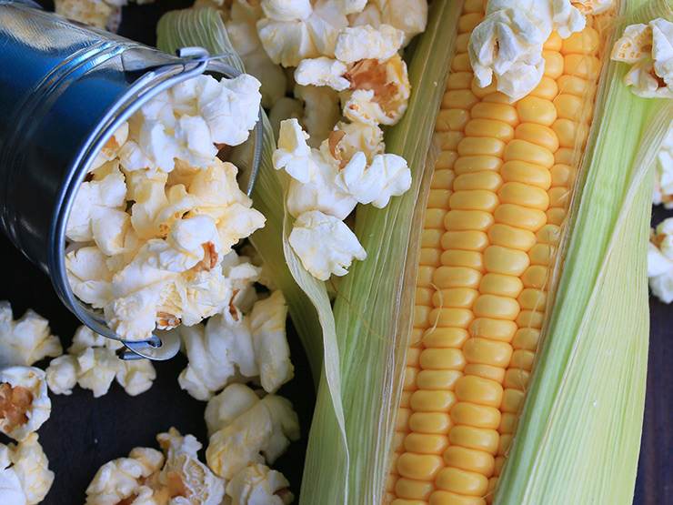 Popcorn and corn cob